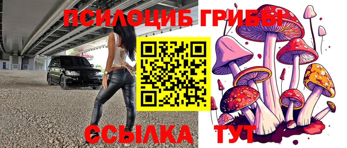 Псилоцибиновые грибы Psilocybine cubensis Жуковский