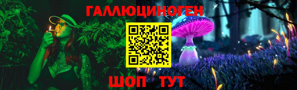 Галлюциногенные грибы GOLDEN TEACHER  Вход с VPN  Жуковский  Галлюциногенные грибы Psilocybine cubensis 